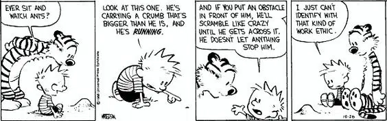 calvin and hobbes - work ethic