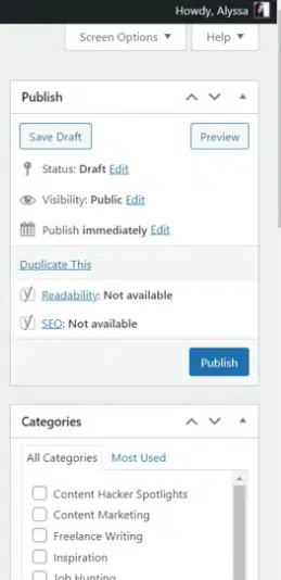 publish options and categories
